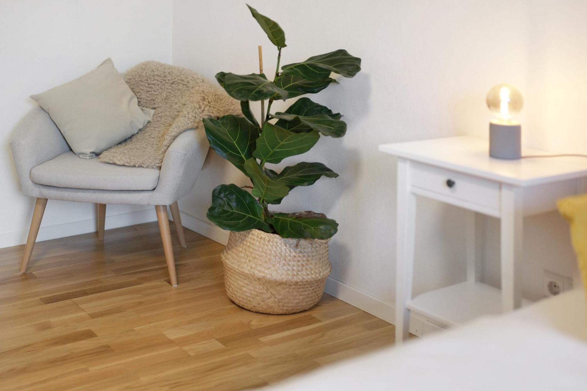 Ferienwohnung Obsthof Fiess Oberkirch  Esterno foto